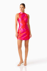 Sunbeam Mini Dress in Pink & Red