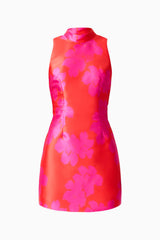 Sunbeam Mini Dress in Pink & Red