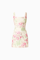 Greta Embroidered Mini Dress in Cream & Pink Floral