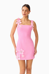 Chantelle Floral Mini Dress in Pink