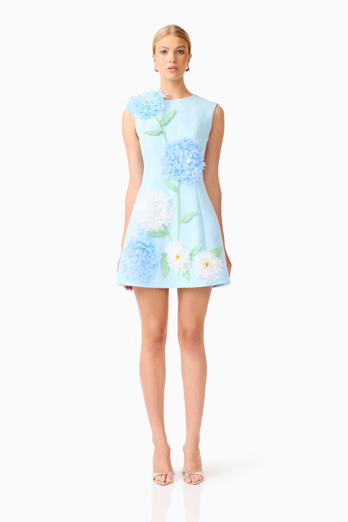 Buttercup Embroidered Mini Dress in Blue