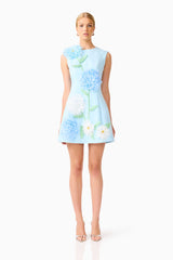 Buttercup Embroidered Mini Dress in Blue
