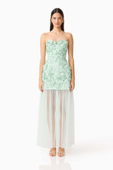 Roseate Strapless Maxi Dress in Mint Green