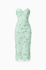 Roseate Strapless Midi Dress in Mint Green