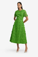 Caroline Lace Short Sleeve Midi Dress - Fern