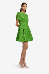 Elyse Lace Short Sleeve Mini Dress - Fern