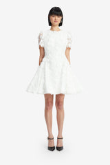 Elyse Lace Short Sleeve Mini Dress - Snow