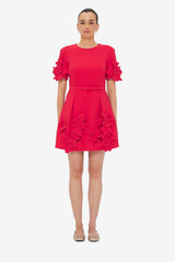 Aurelie Floral Appliqué Mini Dress - Rosa