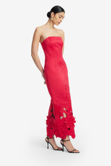 Rayna Appliqué Bustier Maxi Dress - Rosa