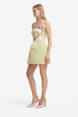 Roselle Embroidered Bustier Mini Dress - Pistachio Rose Print