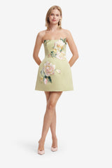 Roselle Embroidered Bustier Mini Dress - Pistachio Rose Print
