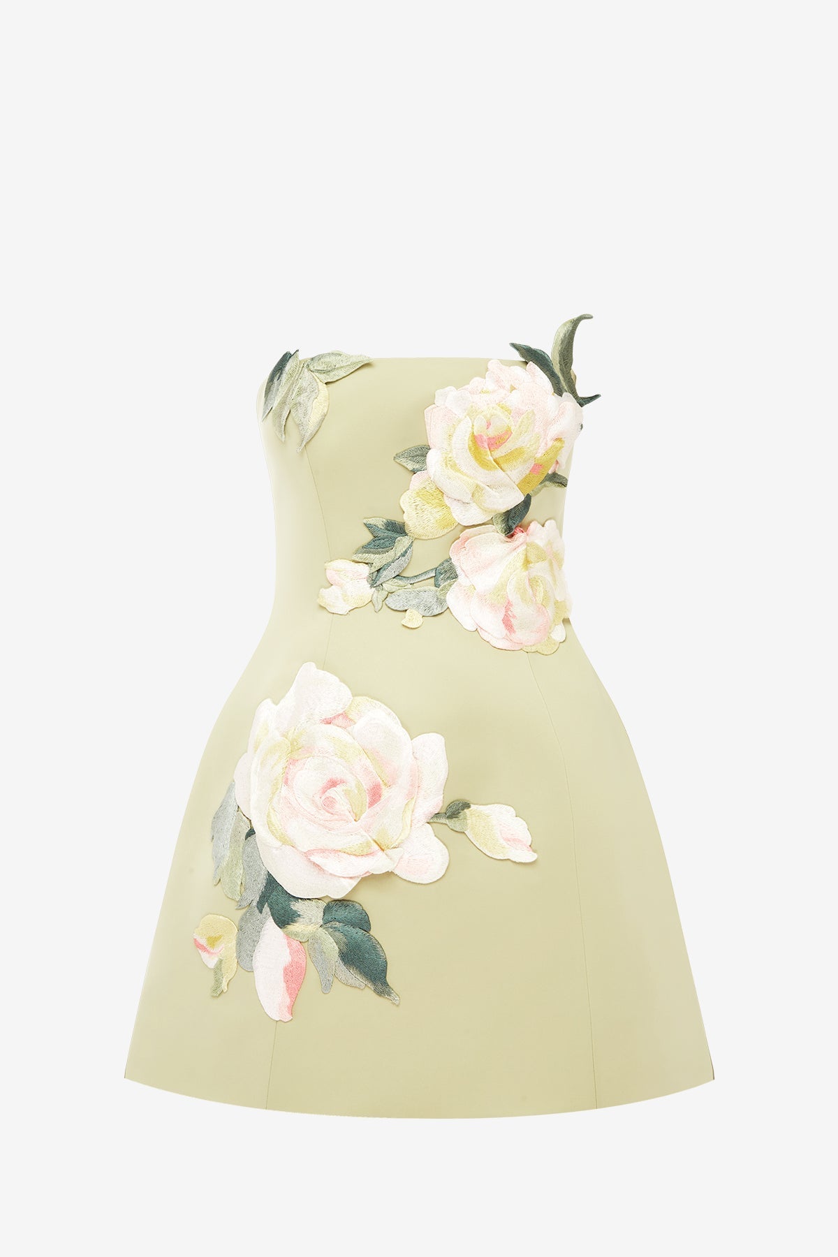 Roselle Embroidered Bustier Mini Dress - Pistachio Rose Print