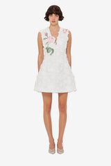 Briana V Neck Embroidered Lace Mini Dress - Snow