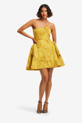 Lena Embellished Bustier Mini Dress - Opulence