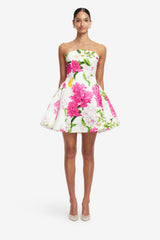 Reese Bustier Mini Dress - Floral Pear Print