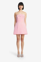 Roselle Appliqué Bustier Mini Dress - Blush Pink