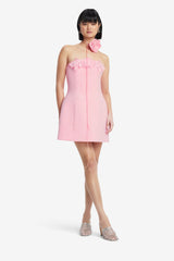 Roselle Appliqué Bustier Mini Dress - Blush Pink