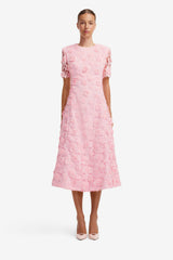 Caroline Lace Short Sleeves Midi Dress - Blush Pink