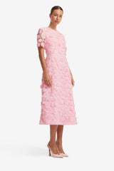 Caroline Lace Short Sleeves Midi Dress - Blush Pink