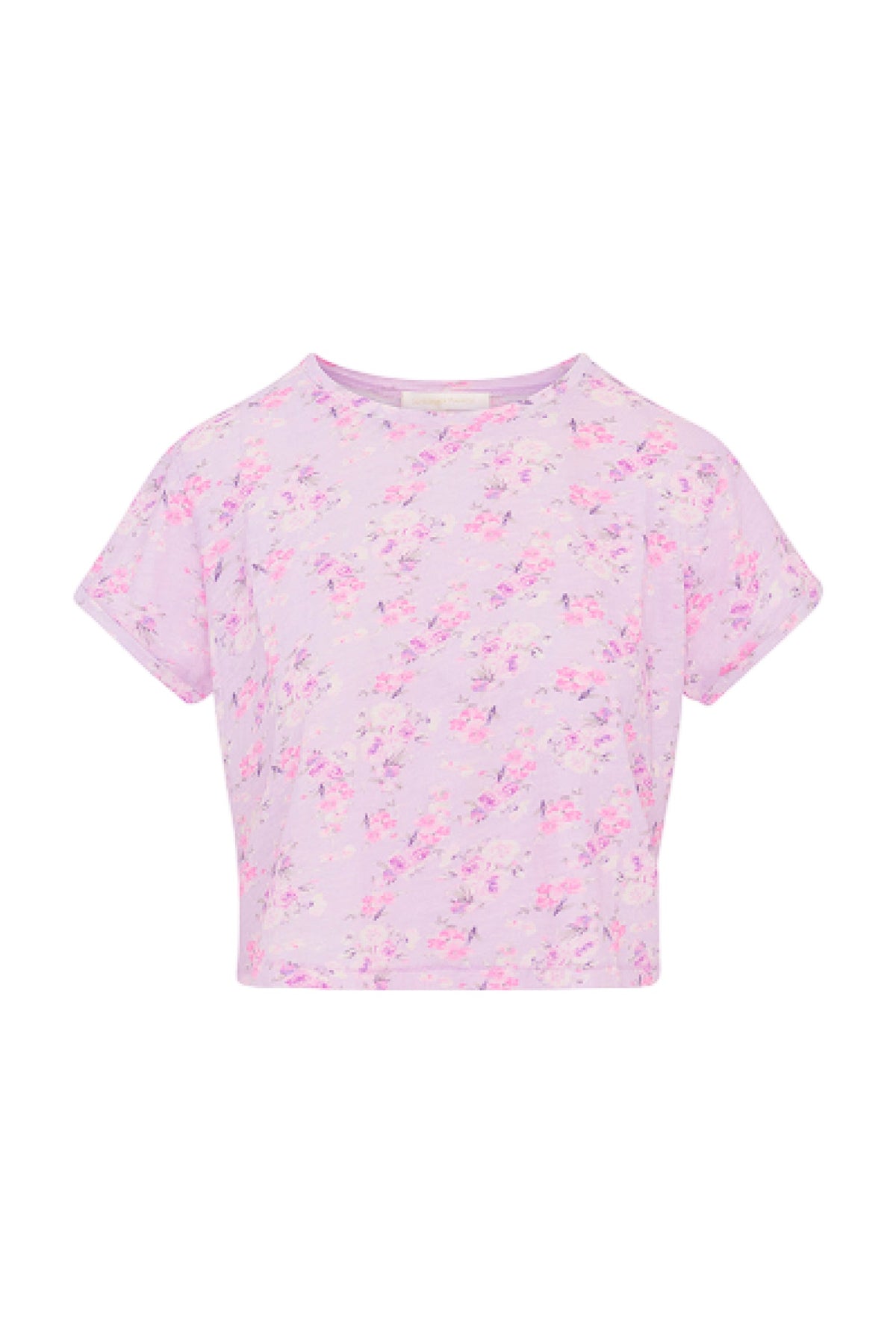 Rubin Cropped Tee