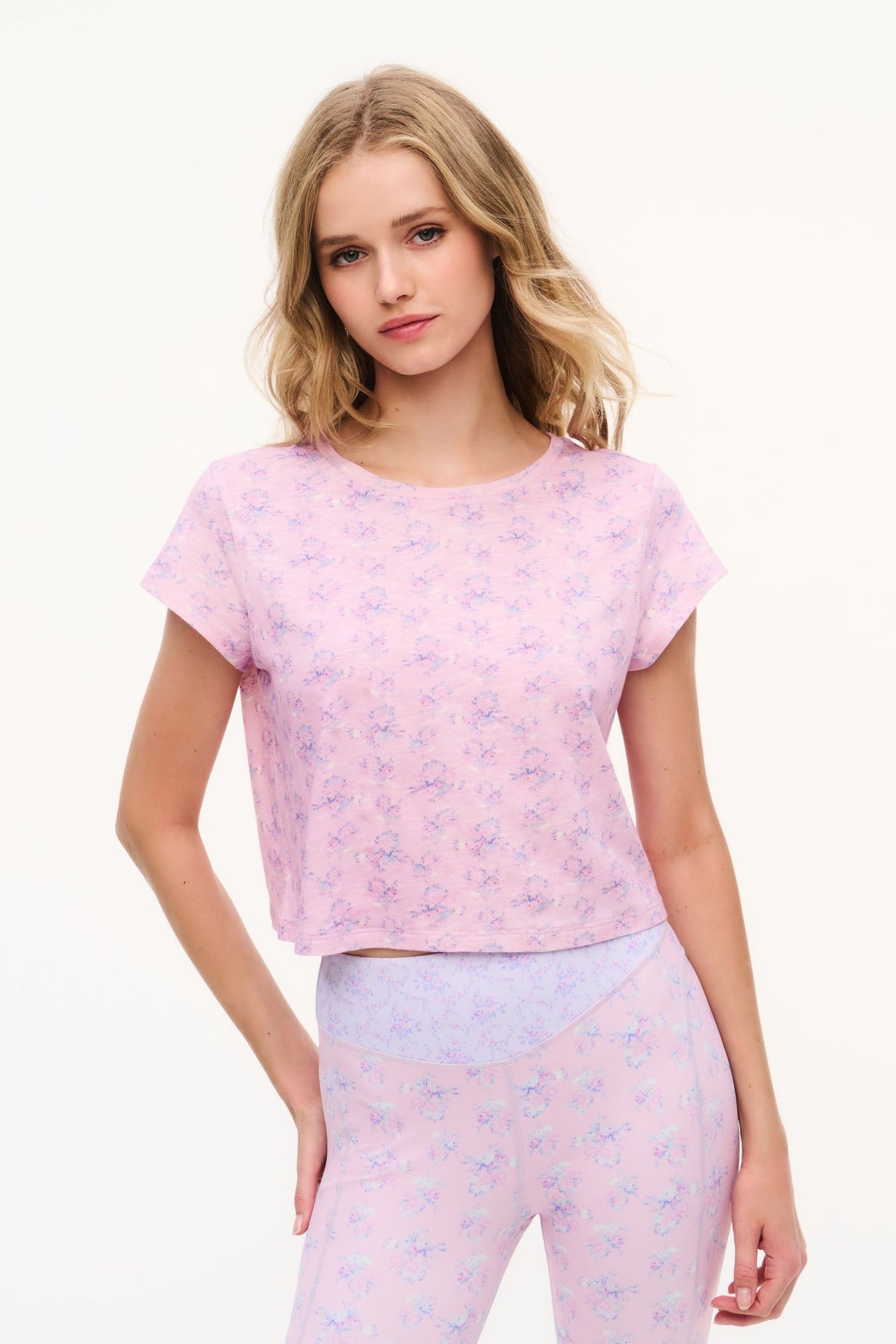 Rubin Iced Mauve Cropped Tee