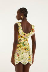 Soft Yellow Brasil Collage Lace Ruffled Mini Dress