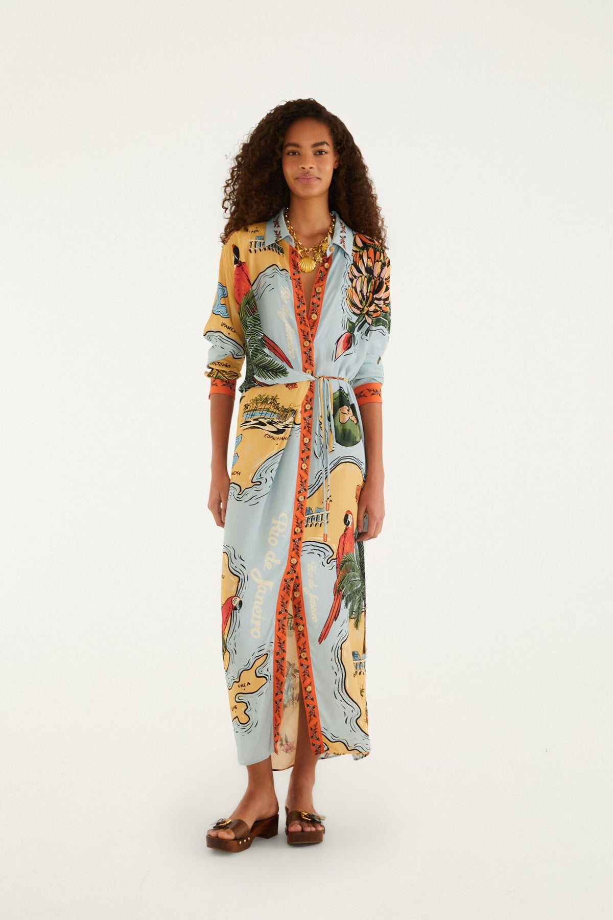 Multicolor Beaches Path Collared Buttoned Maxi Dress